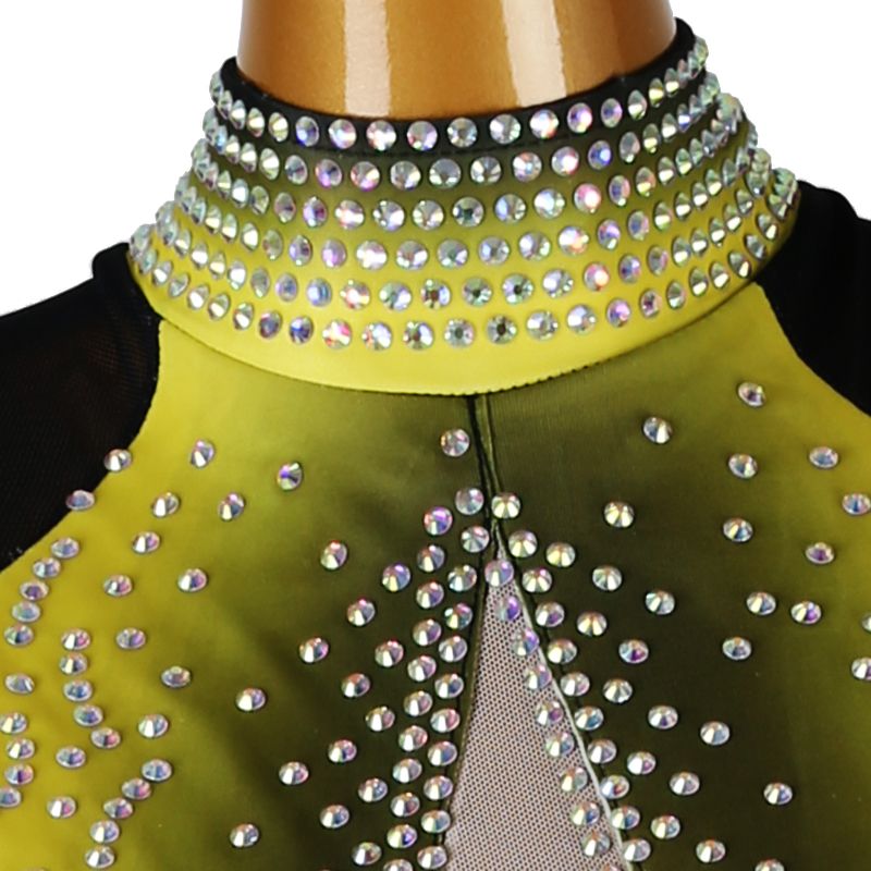 Close-up of the rhinestone band collar