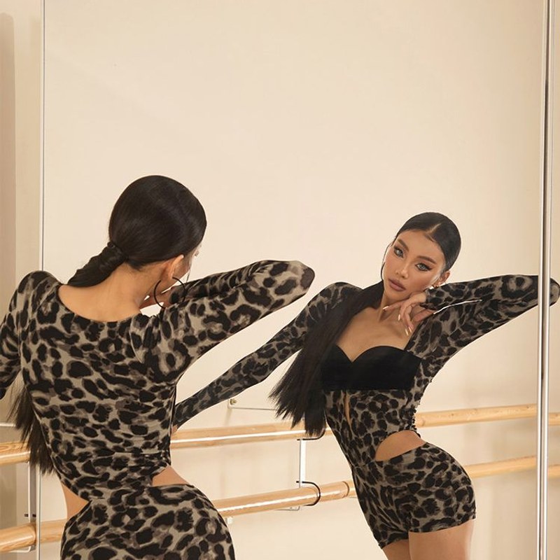 Grey Leopard velvet bust long sleeve leotard, back view