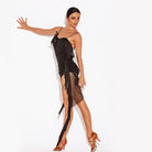 Black rhinestone mesh fringe dance dress, pose